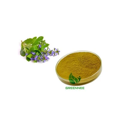 Decumbent Bugle Herb Extract 10: 1; 50: 1; 100: 1